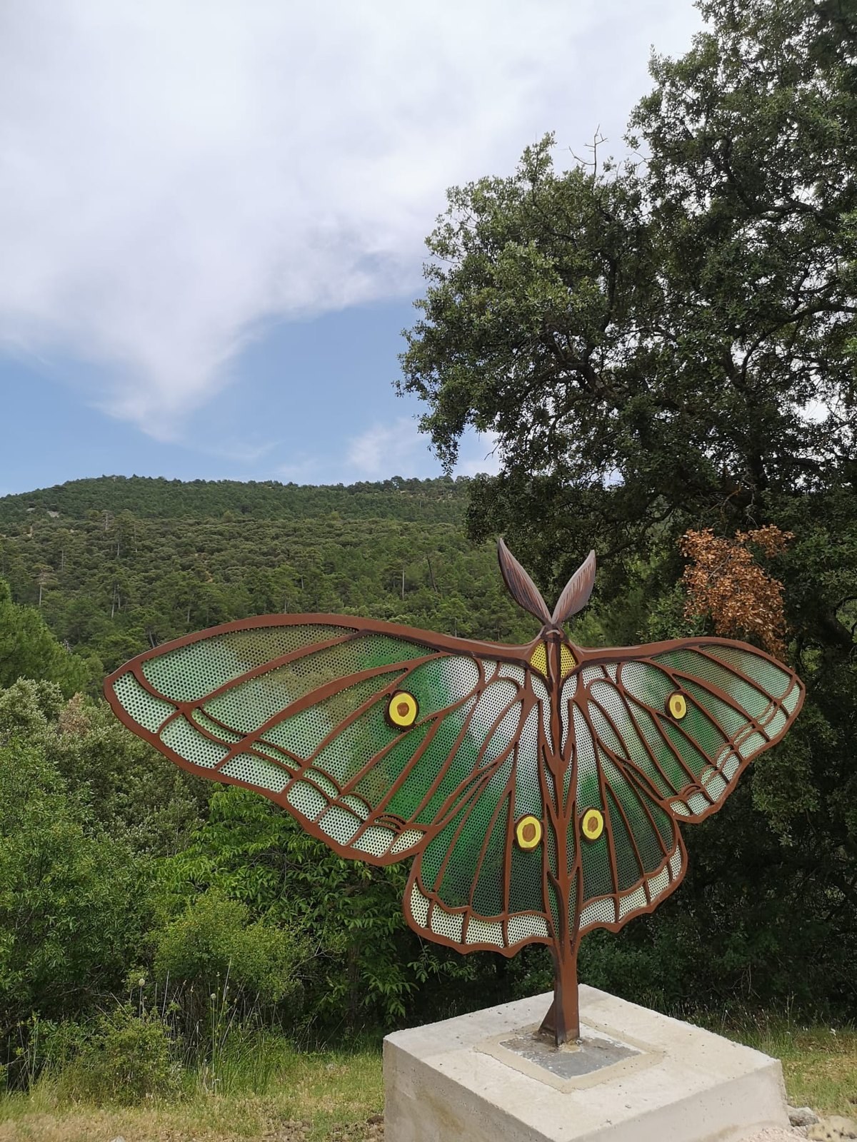 Mariposa (Graellsia isabellae)
