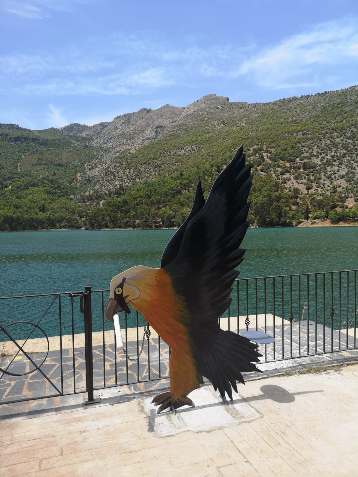 Quebrantahuesos (Gypaetus barbatus)