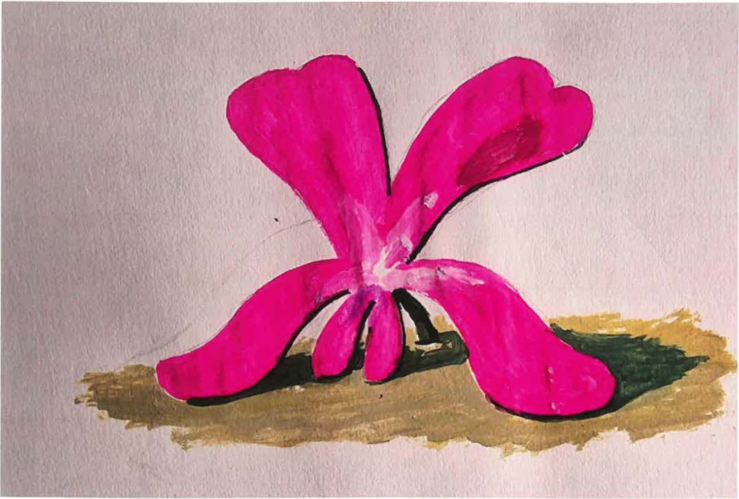 Viola cazorlensis