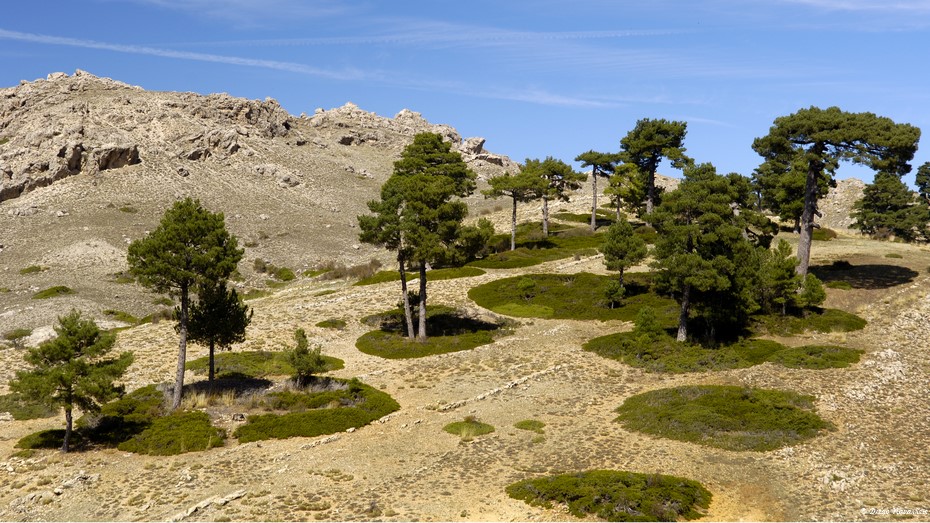Karst del Pinar Negro