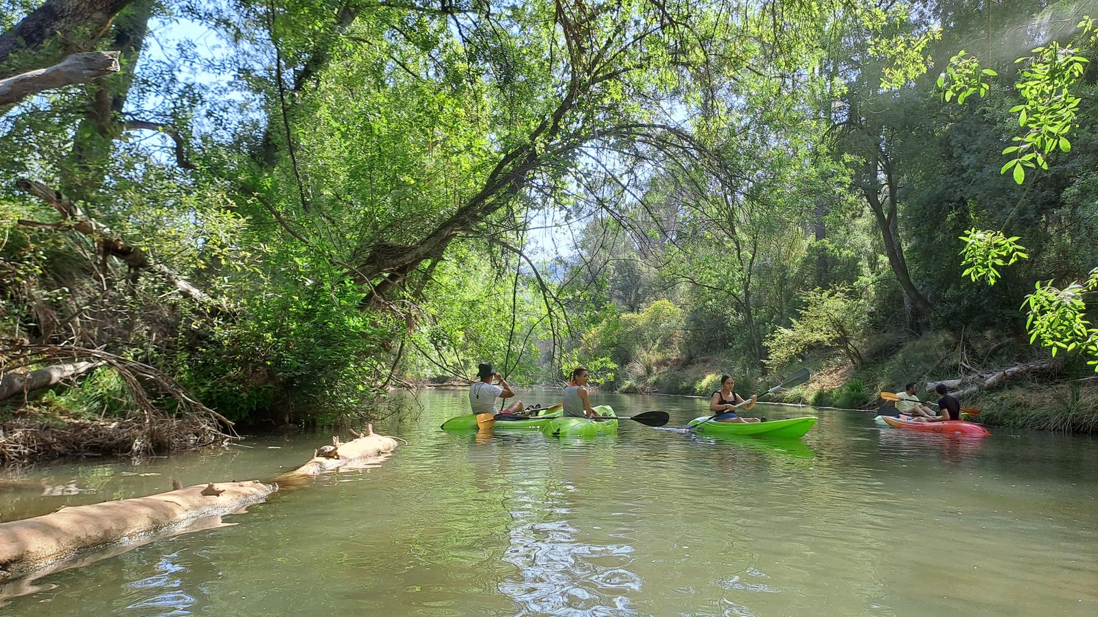 Coto Ríos