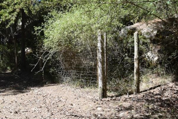 Cercados de protección de la flora