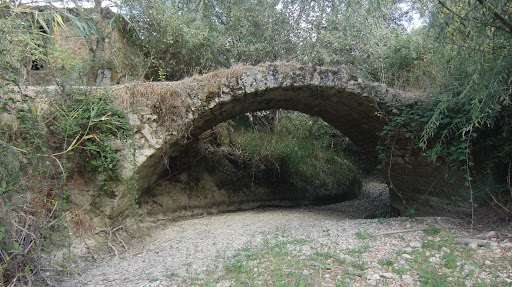 Puente Romano Sobre el Río Cañamares