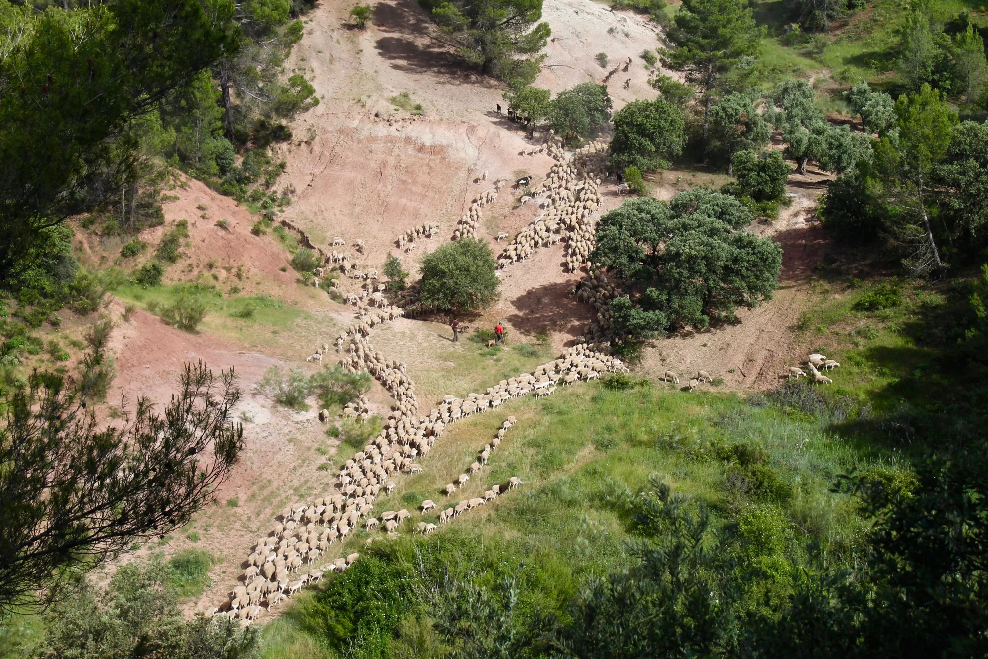 Corrales de la trashumancia