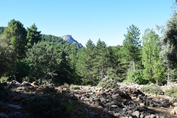 Loma de la Sarga
