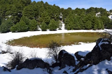 Pozo de la Nieve