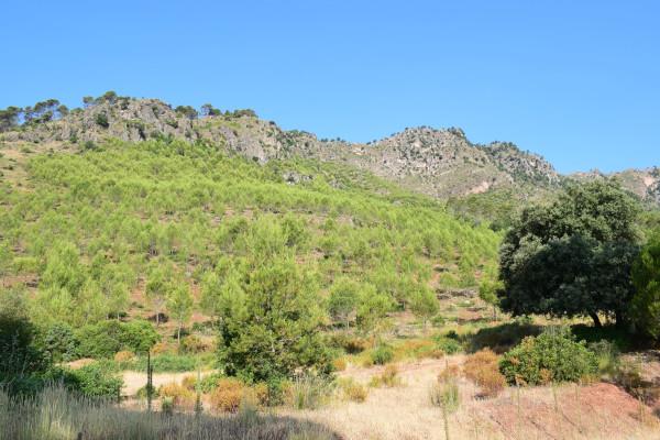 Paisajes resultantes del Incendio del Yelmo desde Dehesa Carnicera