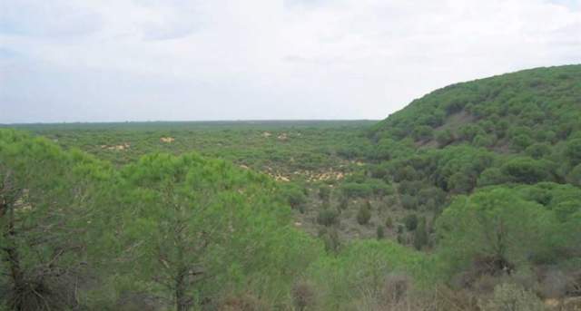 Mirador del Jaral