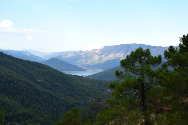 Mirador Huelguecillas
