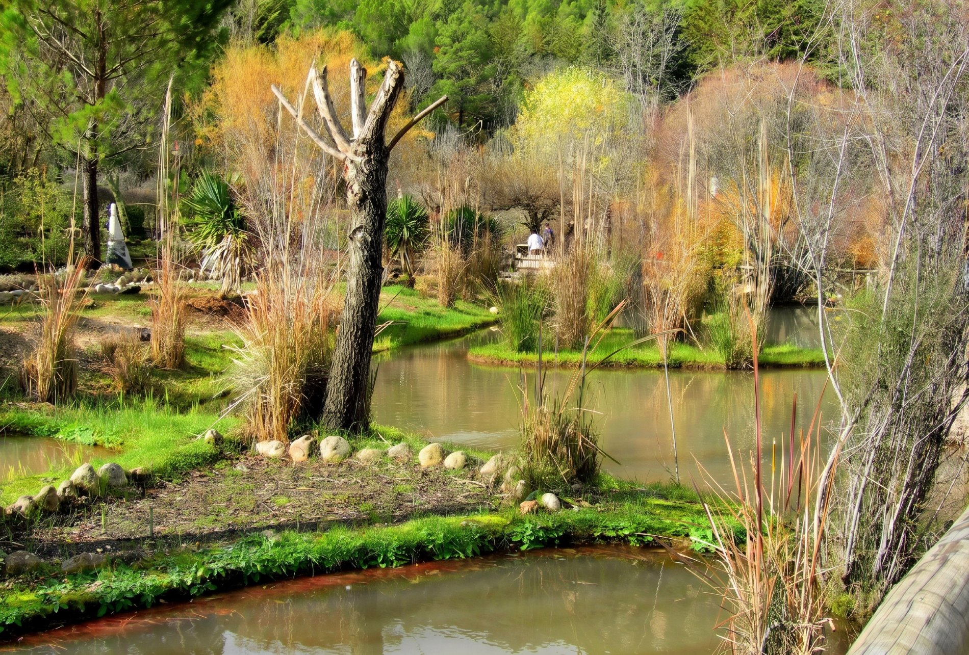 Jardín Botánico de Torre del Vinagre