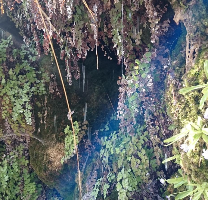 Fuente de la Almoteja