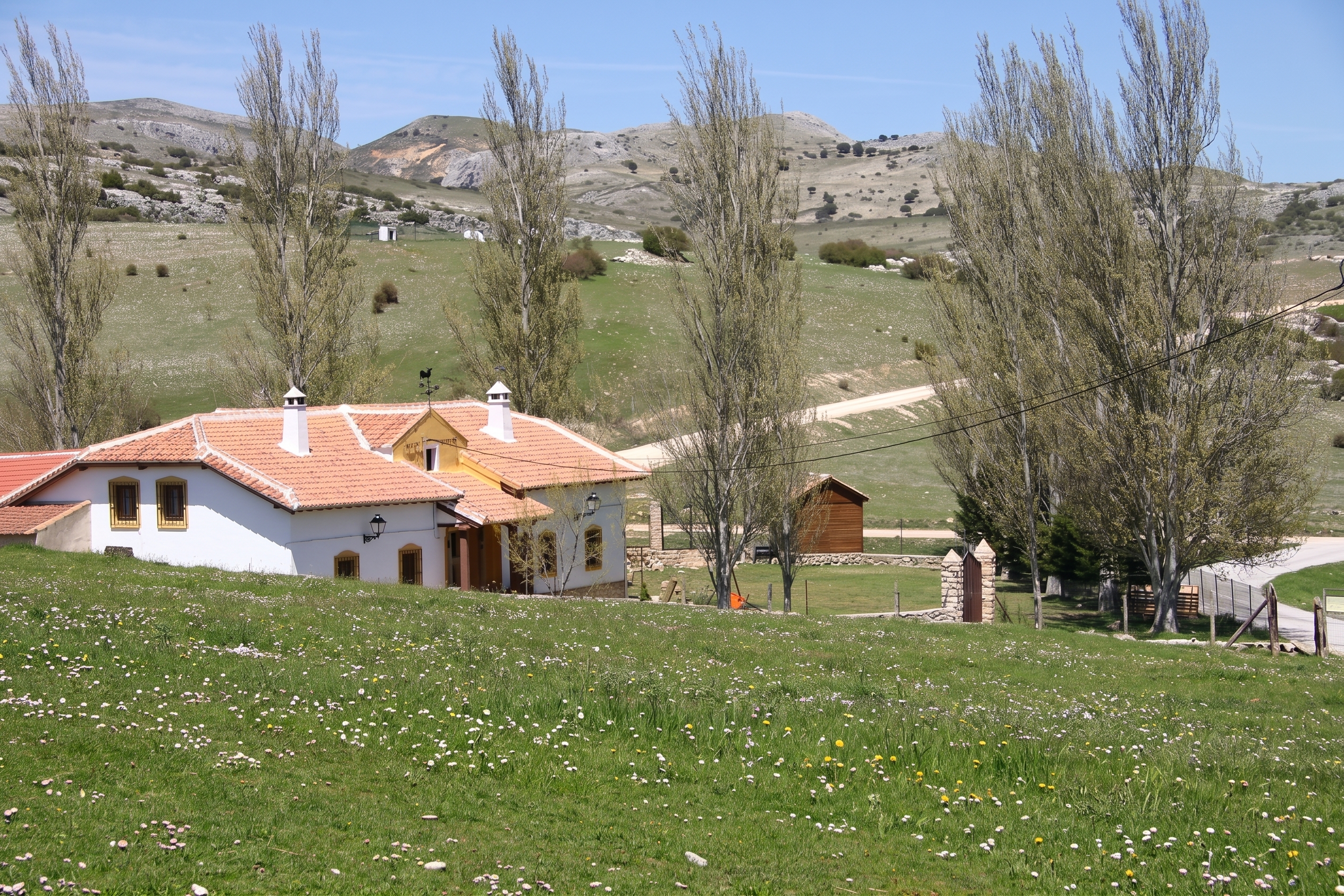 Don Domingo