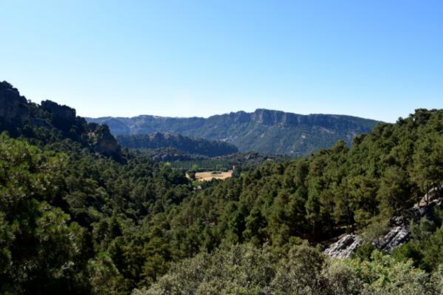 Ruta cicloturista de los oficios forestales