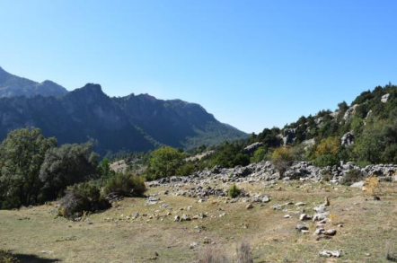Paseo a la mierera del Raso de la Honguera