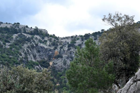 Paseo entre casas forestales por pista forestal
