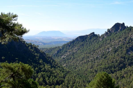 Ruta de senderismo a través de los caminos madereros