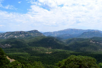 Ruta de senderismo singularidad y valor de los bosques del Parque Natural