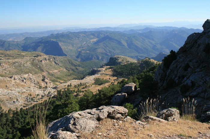 GR-247 «Bosques del Sur»