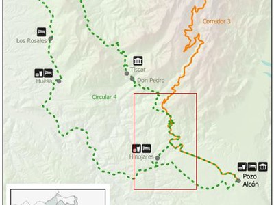 Corredor Regeneración Territorio SCSV. Quesada · Circular 4