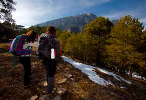 Refugio Casa Forestal El Campillo - Hornos de Segura