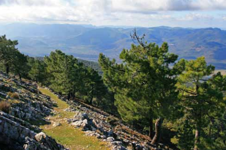 Derivación 1 El Pilarillo - Cumbre de Peñalta