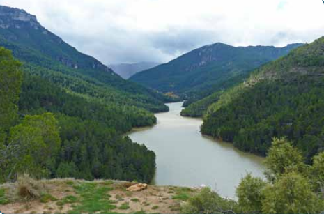 Derivación 7 Nacimiento de la Toba - Presa de las Anchuricas