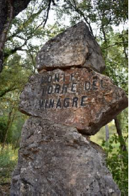 Elemento señalizador de monte