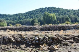 Paratas de la Nava del Rico