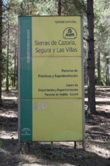 Parcela experimental del CCEF