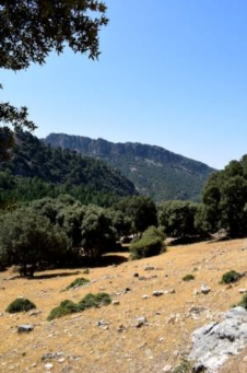 Mirador natural hacia los Torcales del Lobo