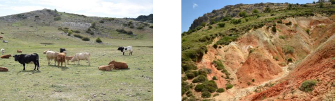Paisajes pastoriles