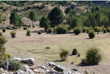 Laguna de Carrales