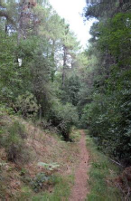 Alberca