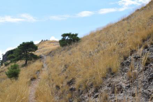 La alta montaña