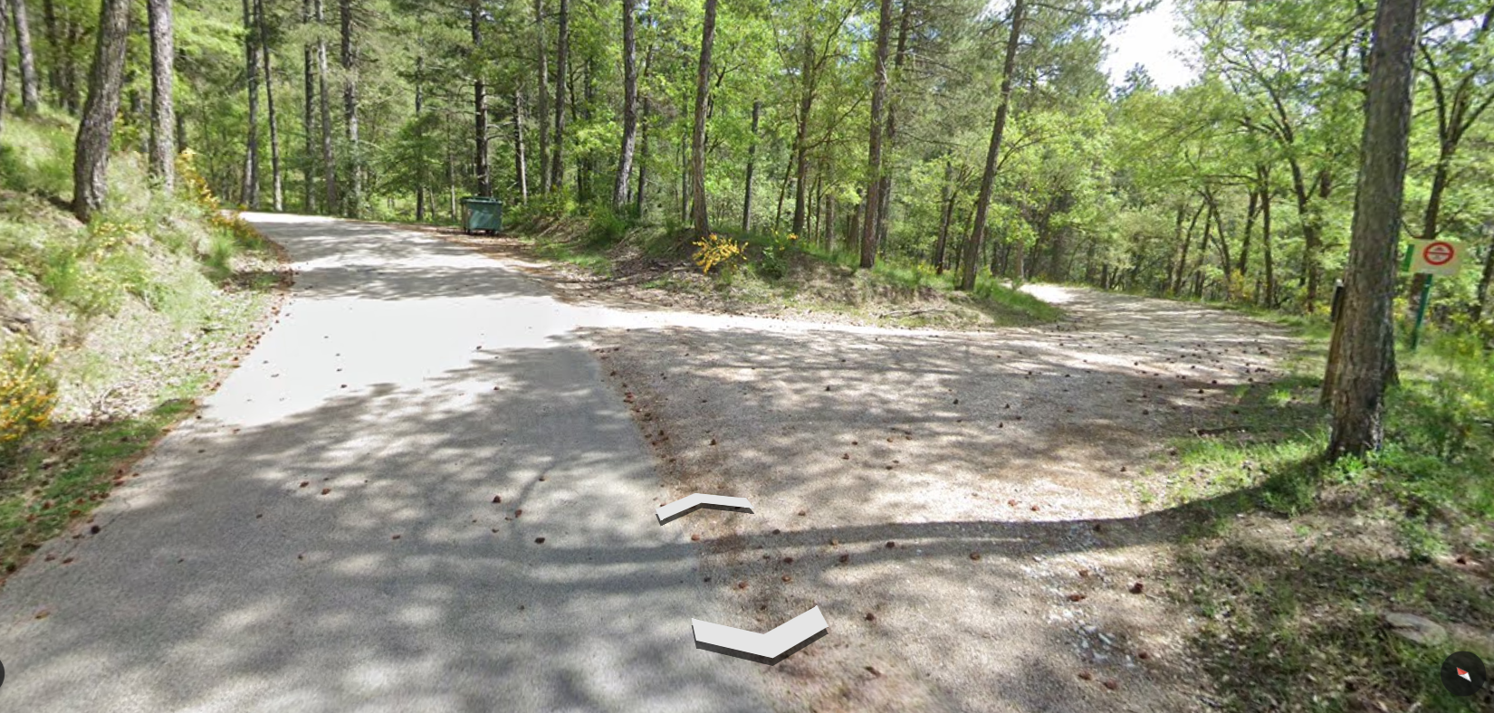 Bifurcación pista forestal