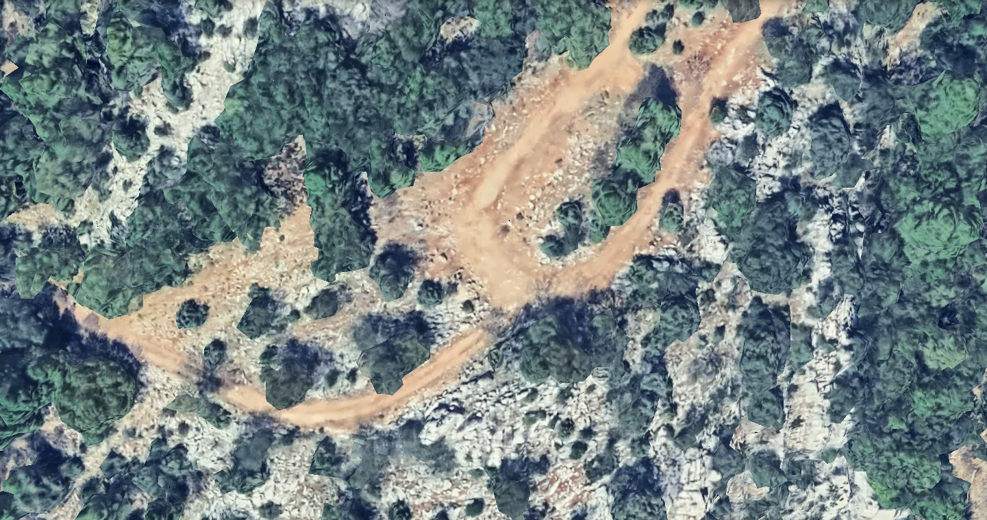 Bifurcación pista