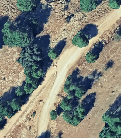 Bifurcación: pista al Chorro
