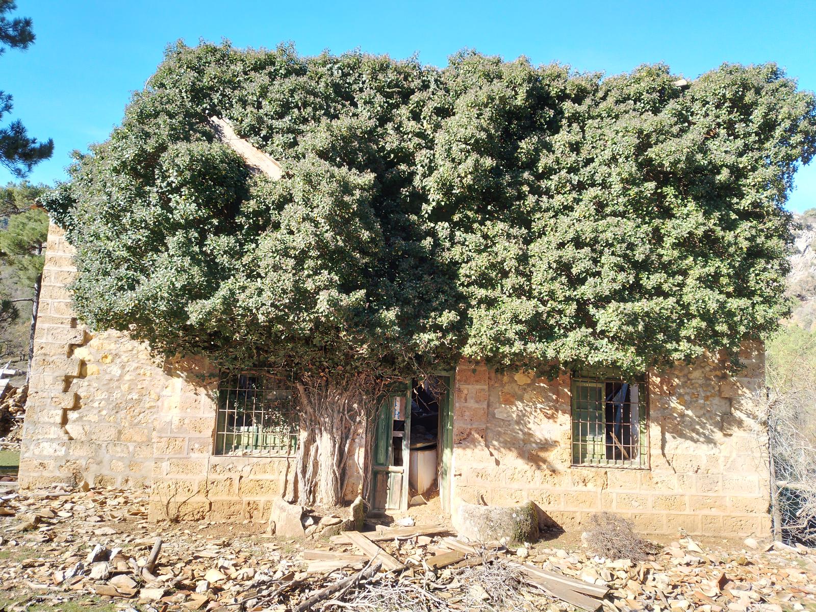 Casa Forestal de los Rasos Viejos