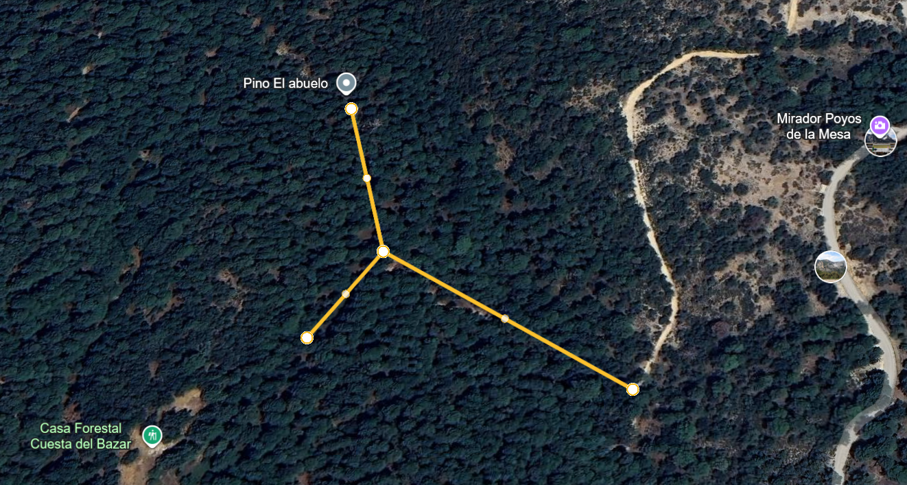 Bifurcación Pino Abuelo