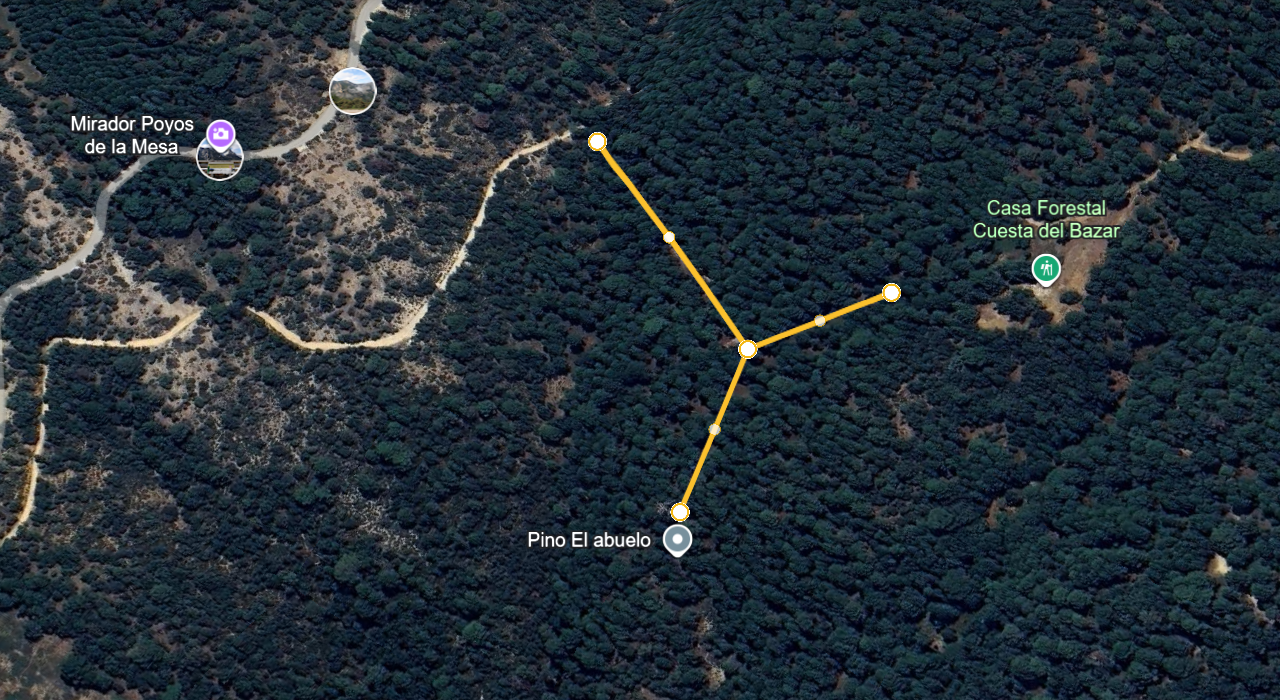 Bifurcación de retorno