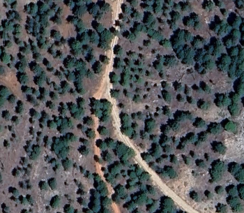 Bifurcación: peguera