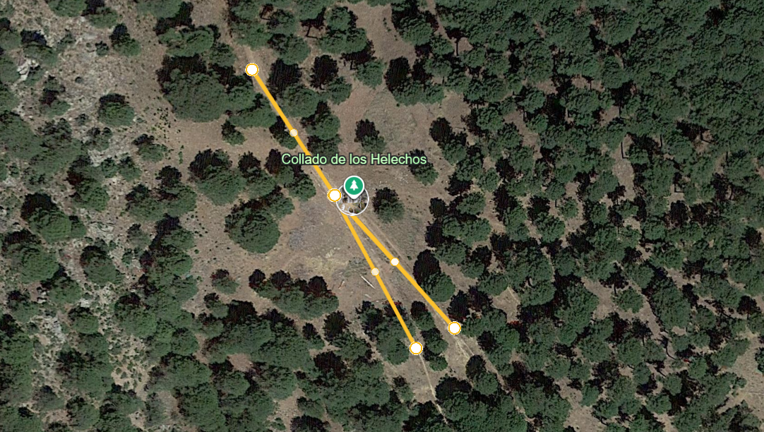 Bifurcación Casa Forestal
